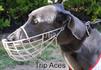 Trip Aces